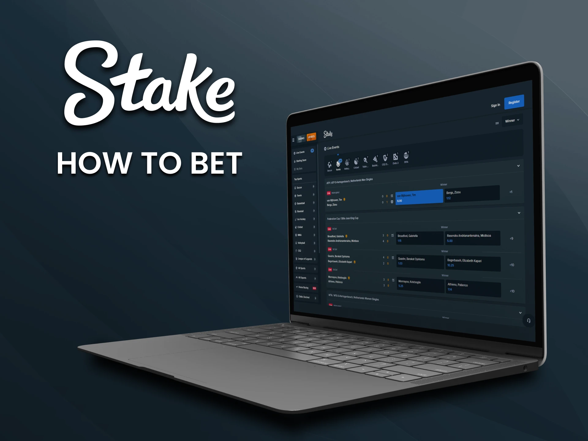 We will show you how to place a bet on Stake.