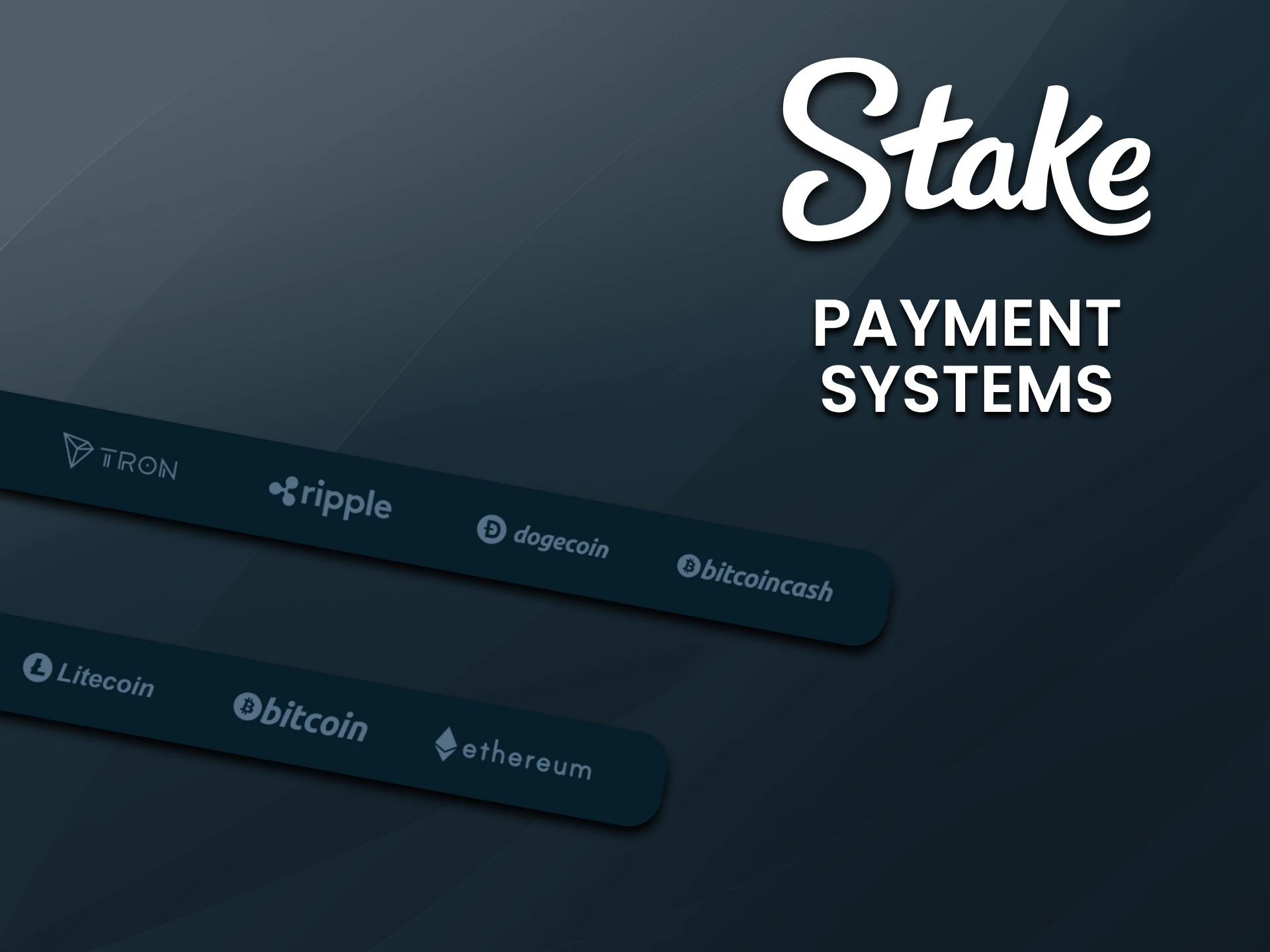 There are many payment systems on the Stake website.