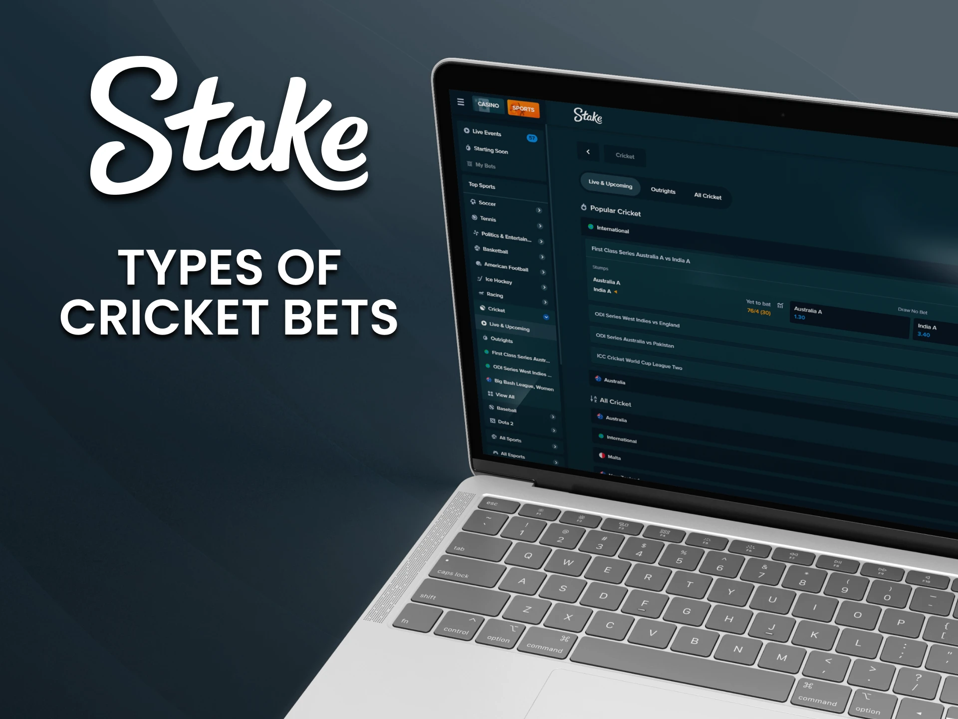 Stake Casino offers a wide range of types of cricket bets.