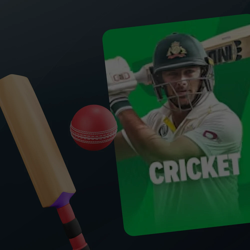 Cricket betting at Stake Casino.